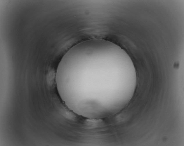 X0000101210480200807071343