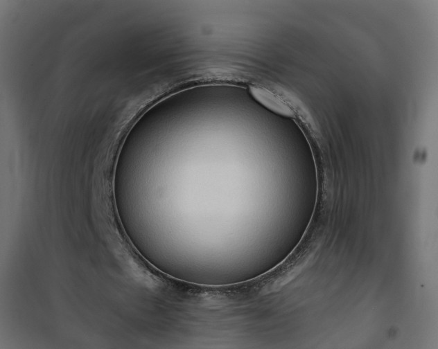 X0000101210481200807071342