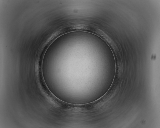 X0000101210482200807071342