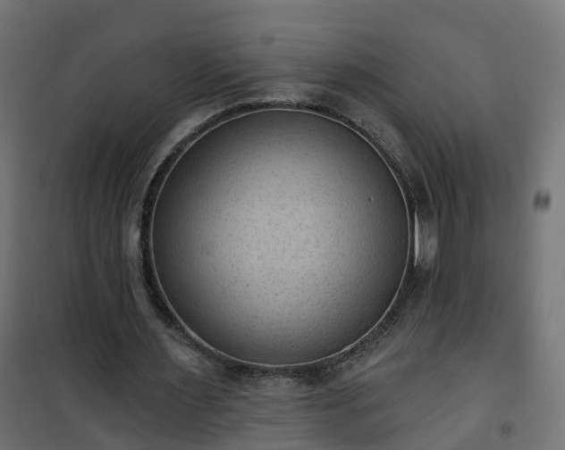 X0000101210483200807071342