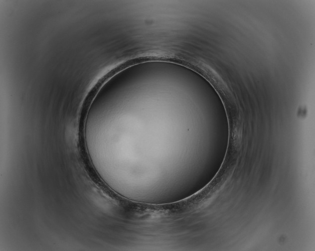 X0000101210484200807071342