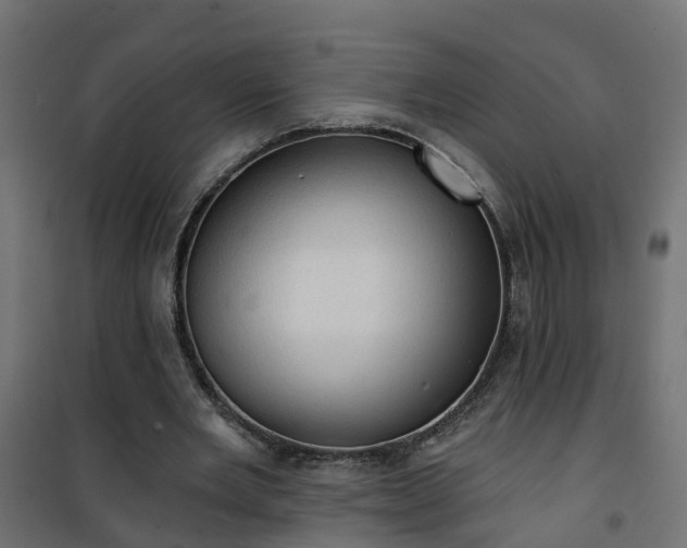 X0000101210485200807071342