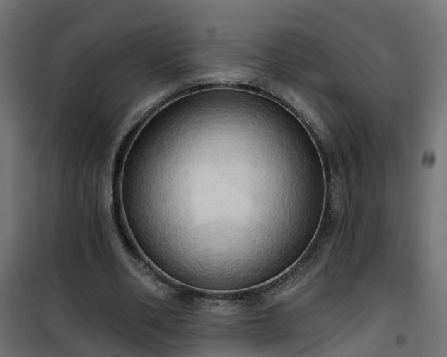 X0000101210486200807071342