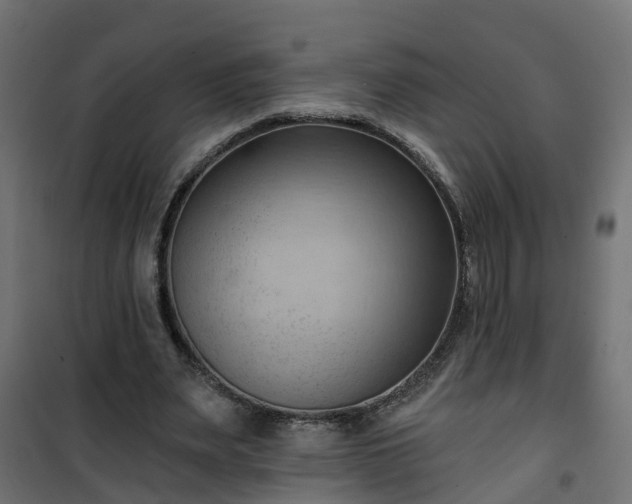 X0000101210487200807071342