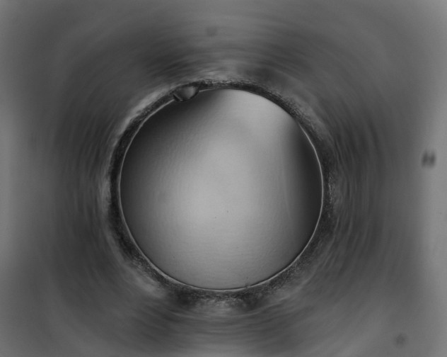 X0000101210488200807071342