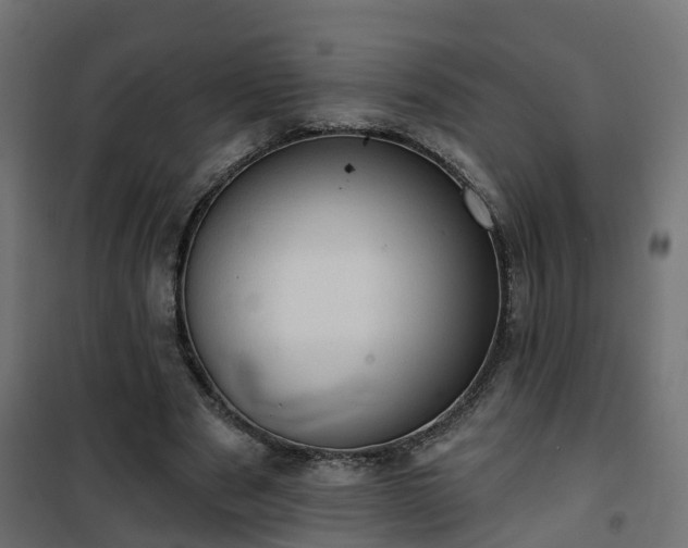 X0000101210489200807071342