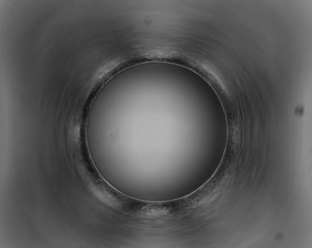 X0000101210491200807071342