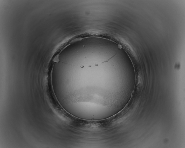 X0000101210492200807071342