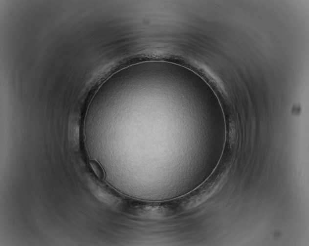 X0000101210493200807071342