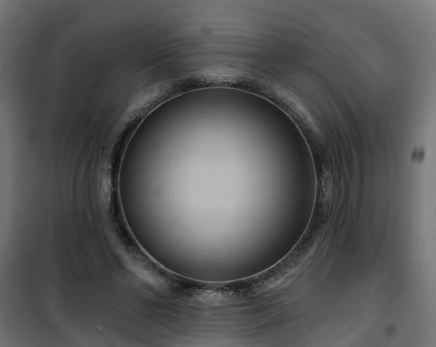 X0000101210494200807071342