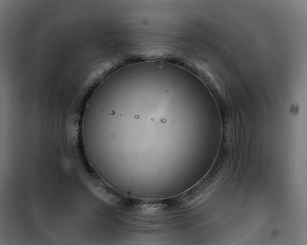 X0000101210495200807071342