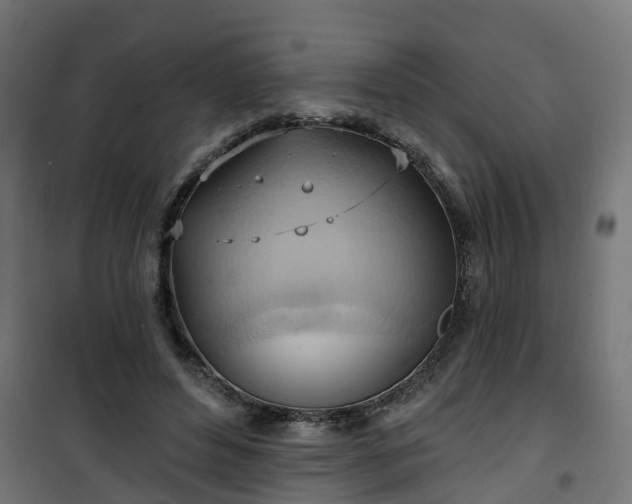 X0000101210496200807071342