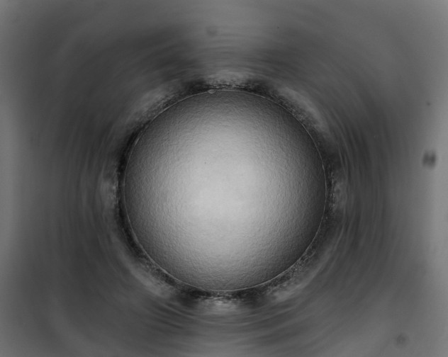 X0000101210498200807071342