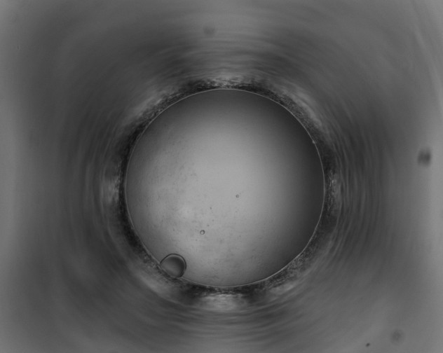 X0000101210499200807071342