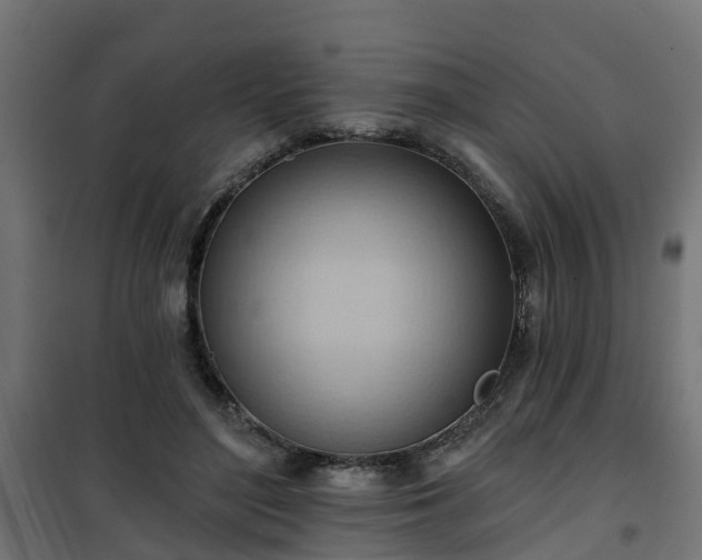 X0000101210500200807071342