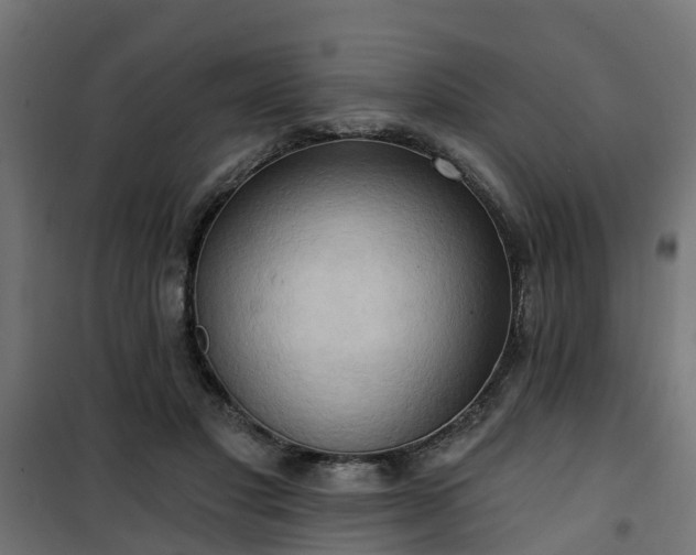 X0000101210501200807071342