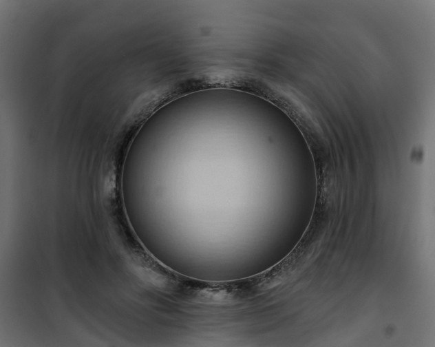 X0000101210502200807071342