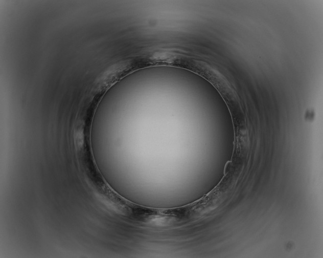 X0000101210504200807071342