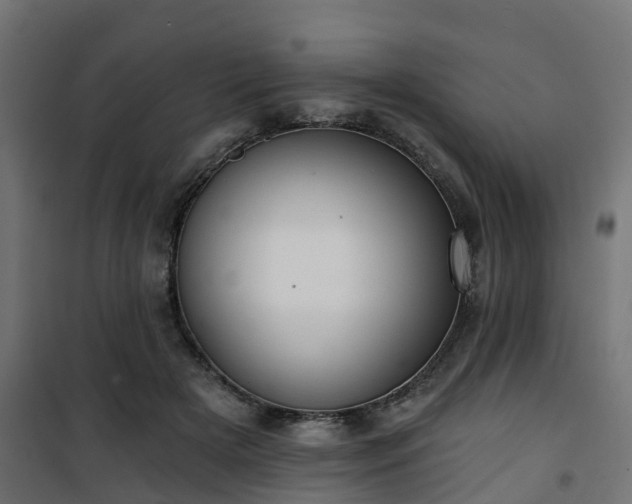 X0000101210505200807071342