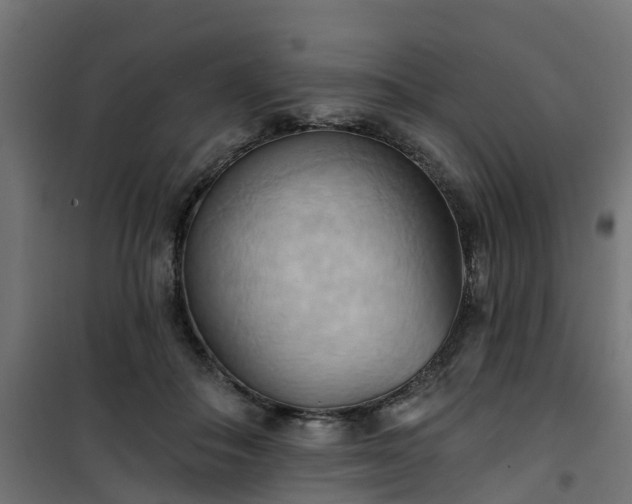 X0000101210506200807071342