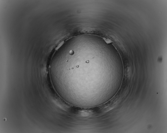 X0000101210508200807071342