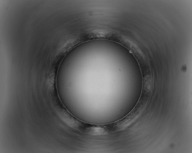 X0000101210509200807071342