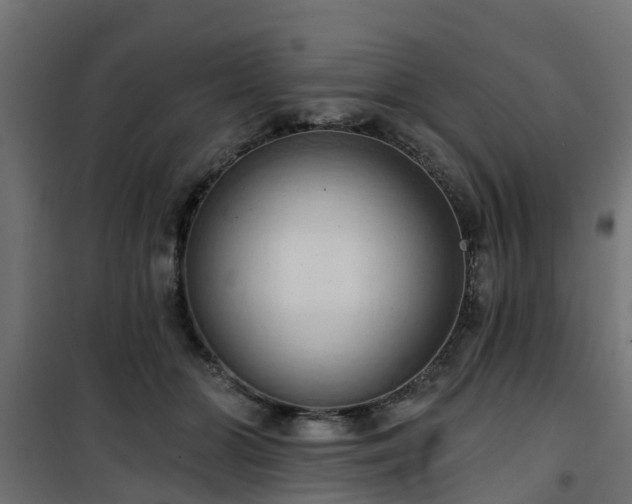 X0000101210510200807071342