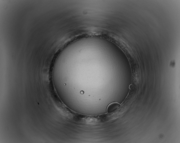 X0000101210512200807071342