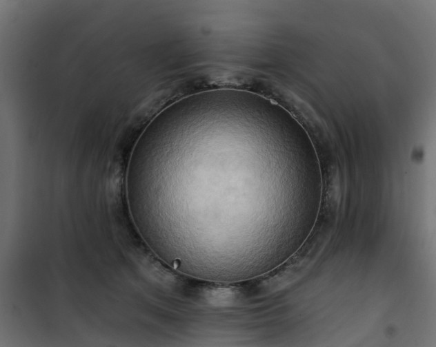 X0000101210513200807071342