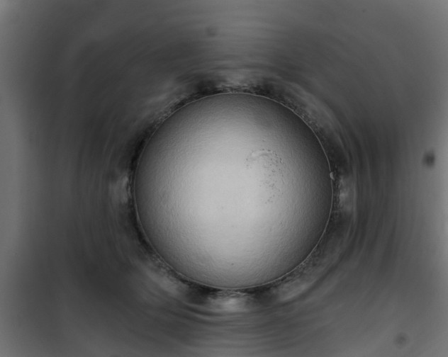 X0000101210514200807071342