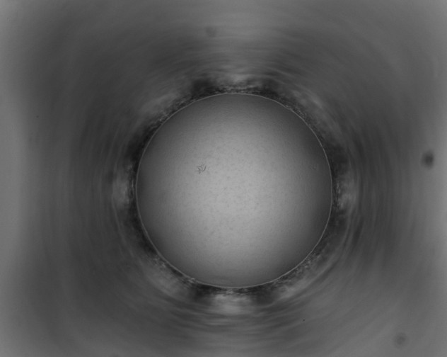 X0000101210515200807071342