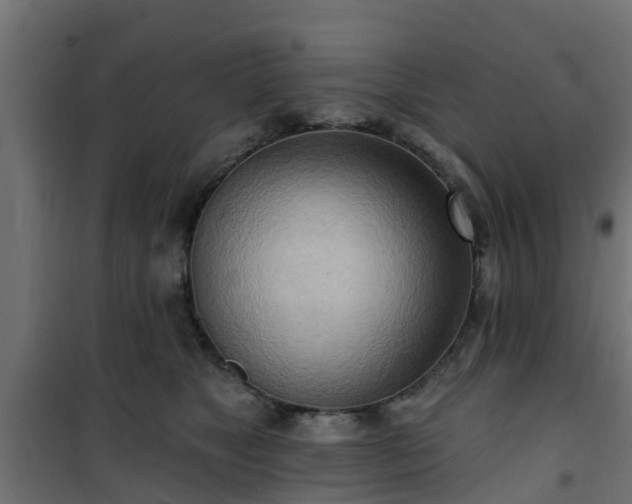 X0000101210517200807071342