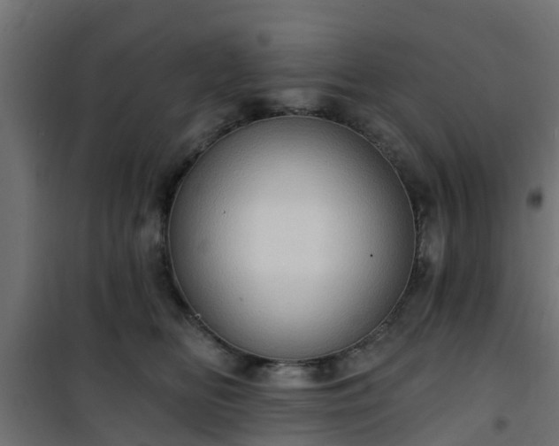 X0000101210518200807071342