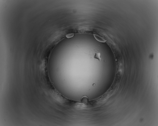 X0000101210519200807071342