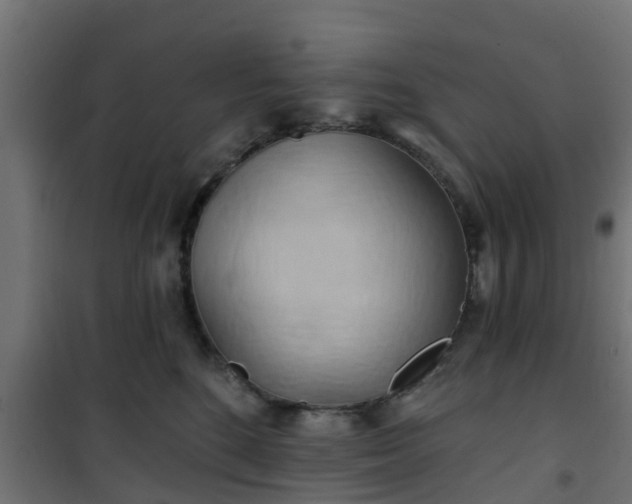 X0000101210520200807071342