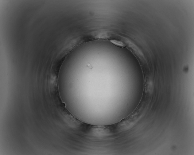 X0000101210521200807071342