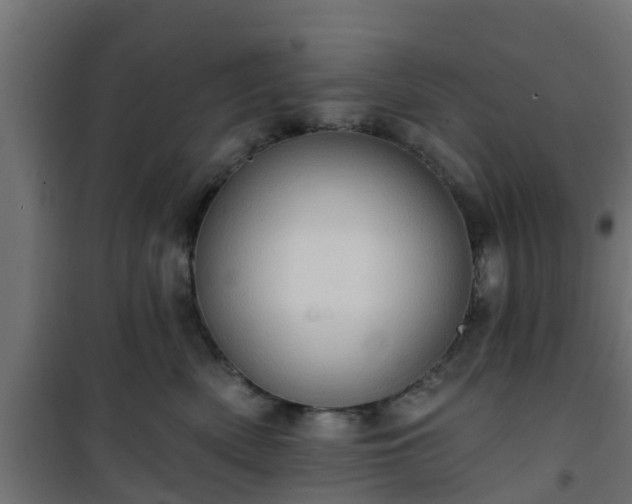 X0000101210522200807071342