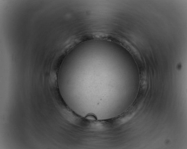 X0000101210523200807071342