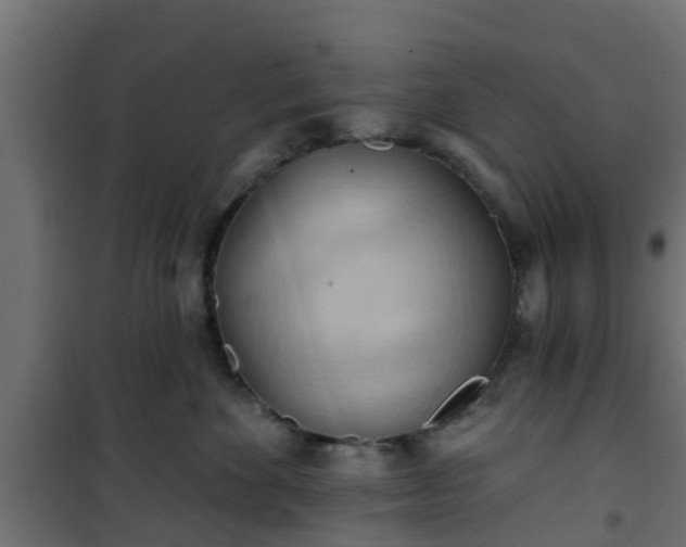 X0000101210524200807071342