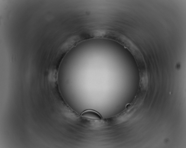 X0000101210525200807071342