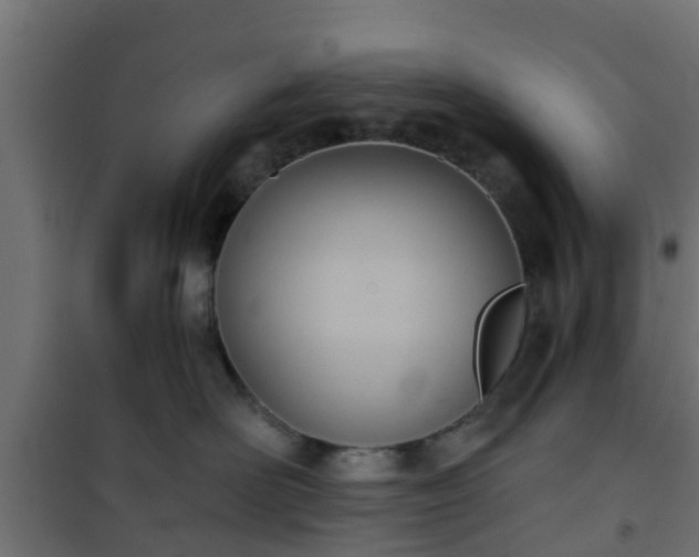 X0000101210526200807071342