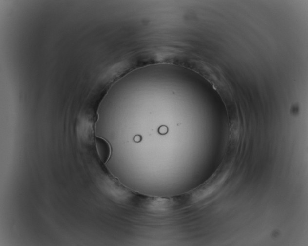 X0000101210527200807071342