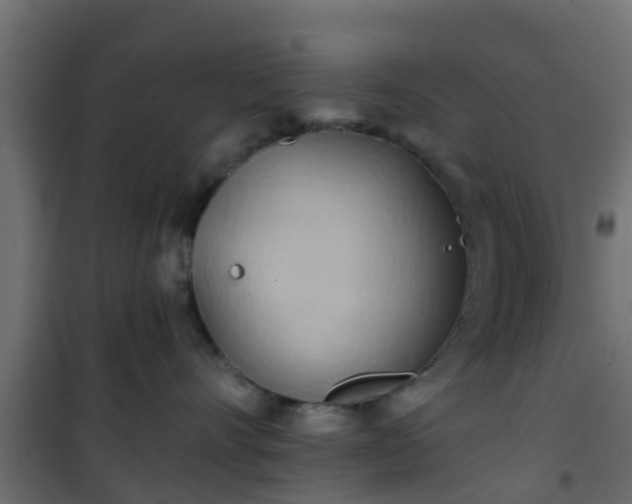 X0000101210528200807071342