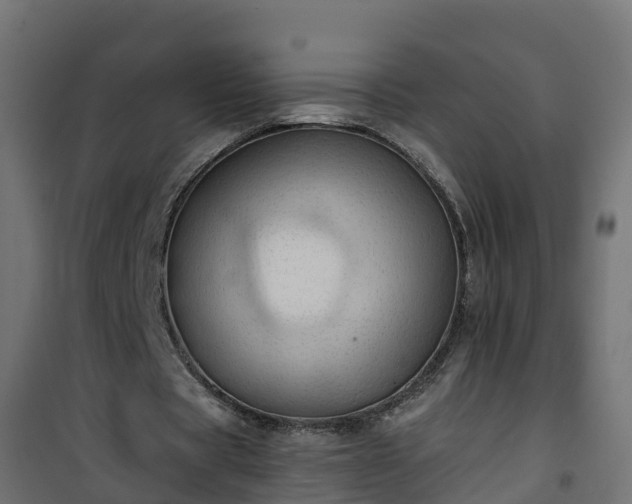 X0000101210529200807071341