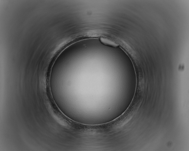 X0000101210530200807071341