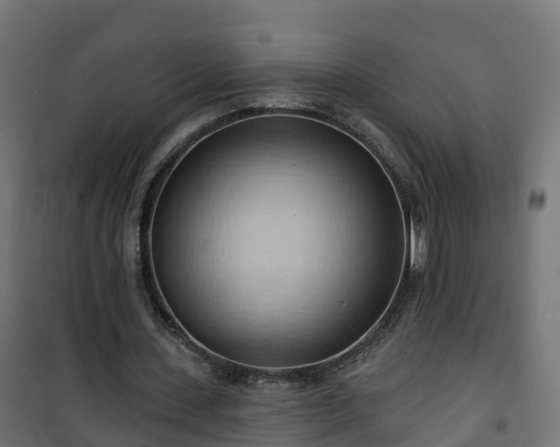 X0000101210531200807071341