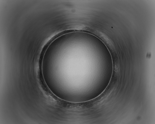 X0000101210532200807071341