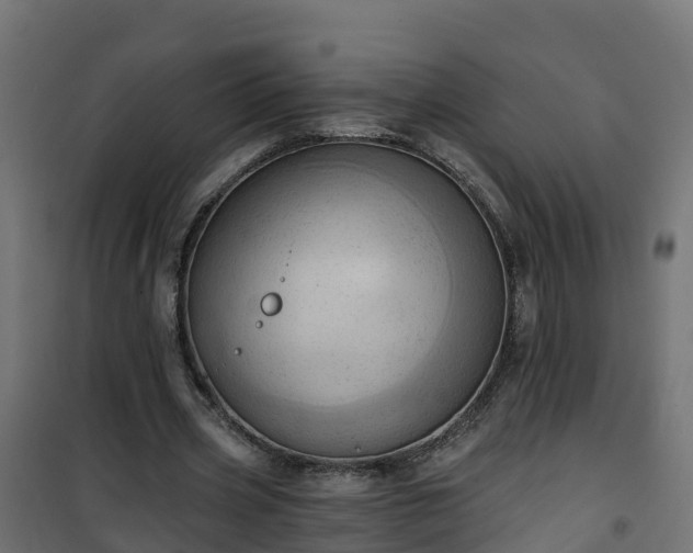 X0000101210533200807071341