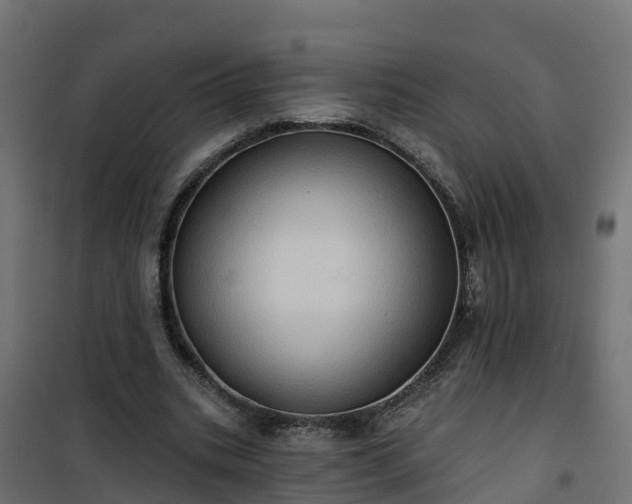 X0000101210535200807071341