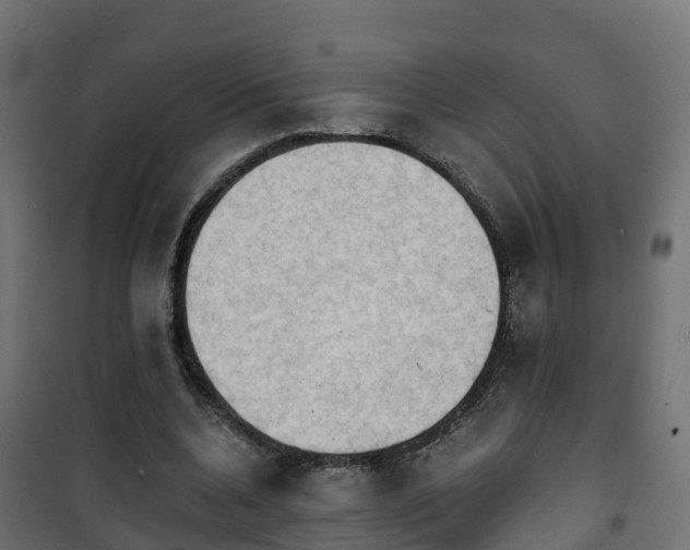 X0000101210536200807071341